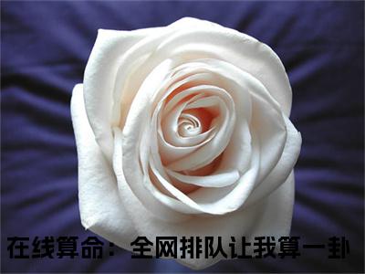 林木木（在线算命：全网排队让我算一卦）小说免费无弹窗大结局-林木木小说全文完整版阅读