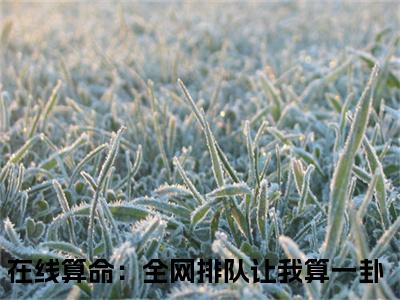 （在线算命：全网排队让我算一卦）林木木全文免费阅读无弹窗大结局_(林木木)在线算命：全网排队让我算一卦免费阅读无弹窗最新章节列表_笔趣阁（林木木）