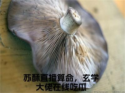 苏酥（直播算命，玄学大佬在线吃瓜）全文免费阅读无弹窗大结局_（直播算命，玄学大佬在线吃瓜无弹窗）最新章节免费阅读_笔趣阁（苏酥）