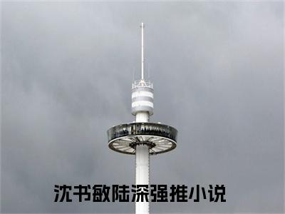 沈书敏陆深（沈书敏陆深精彩美文）免费阅读-小说沈书敏陆深最后结局如何