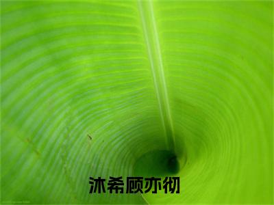 沐希顾亦彻（爱情不可医）全文免费阅读无弹窗_爱情不可医最新小说_笔趣阁（沐希顾亦彻）