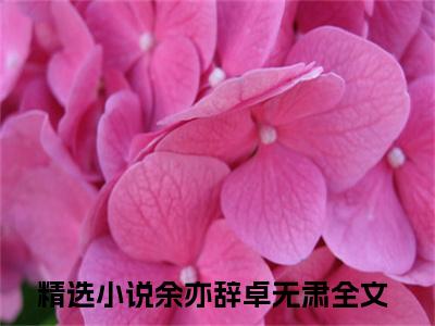 余亦辞卓无肃小说美文赏析-余亦辞卓无肃全文免费大结局