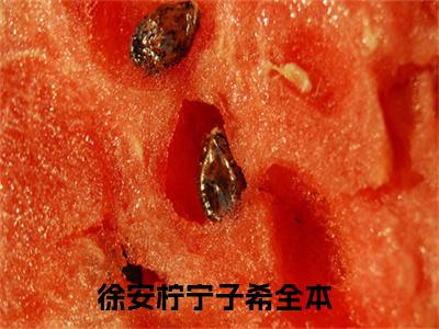 徐安柠宁子希小说（徐安柠宁子希）无弹窗大结局-徐安柠宁子希完整版免费阅读