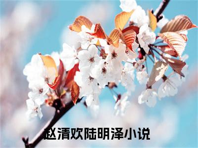 赵清欢陆明泽免费小说 赵清欢陆明泽全文在线阅读