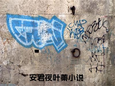 (热推新书)《安君夜叶蓁》无弹窗大结局（安君夜叶蓁）-抖音热推安君夜叶蓁无弹窗阅读最新章节列表_笔趣阁