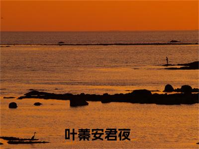 叶蓁安君夜（叶蓁安君夜）全文免费阅读无弹窗大结局_(叶蓁安君夜)最新章节列表_笔趣阁