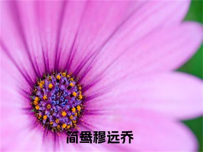 简鸯穆远乔最新章节（简鸯穆远乔）小说推荐阅读-新书简鸯穆远乔精彩阅读