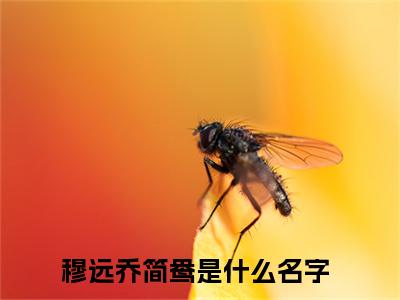 穆远乔简鸯小说大结局免费阅读，穆远乔简鸯抖音新上热文分享
