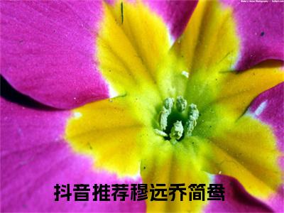 穆远乔简鸯（穆远乔简鸯）全文免费阅读无弹窗大结局_穆远乔简鸯全文免费阅读_笔趣阁