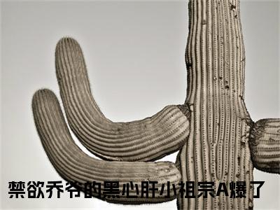 黎清清乔时野全本资源免费阅读结局无删节主角：禁欲乔爷的黑心肝小祖宗A爆了小说全文阅读无弹窗