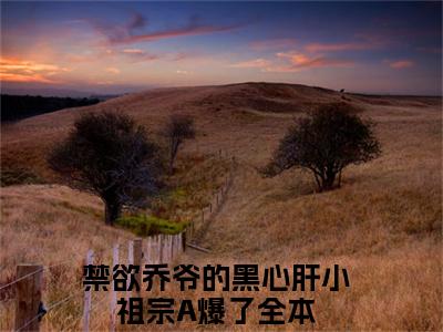 主角是禁欲乔爷的黑心肝小祖宗A爆了的小说叫什么名字黎清清乔时野-老书虫书荒推荐热点小说黎清清乔时野（禁欲乔爷的黑心肝小祖宗A爆了）