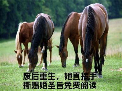 蒲芳草兰泽（废后重生，她直接手撕赐婚圣旨）全文免费阅读无弹窗大结局_（蒲芳草兰泽全文免费阅读无弹窗）废后重生，她直接手撕赐婚圣旨最新章节列表_笔趣阁（蒲芳草兰泽）