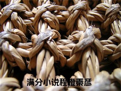 （程橙秦彦）全文无弹窗阅读-小说主角叫什么程橙秦彦