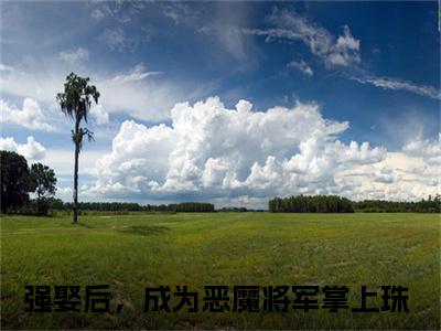 强娶后，成为恶魔将军掌上珠热门小说在线阅读 袁泊佑沈清全网推荐（强娶后，成为恶魔将军掌上珠）全文