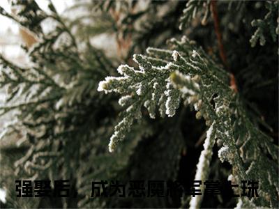 袁泊佑沈清强娶后，成为恶魔将军掌上珠免费阅读无弹窗最新章节列表-（袁泊佑沈清）强娶后，成为恶魔将军掌上珠全文免费阅读大结局笔趣阁（袁泊佑沈清）