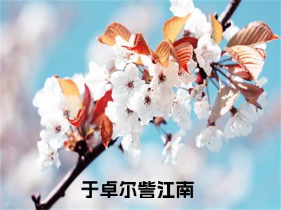 于卓尔訾江南完整版（六零独苗苗抱团取暖小说）全文免费阅读无弹窗大结局_六零独苗苗抱团取暖最新章节（于卓尔訾江南小说）