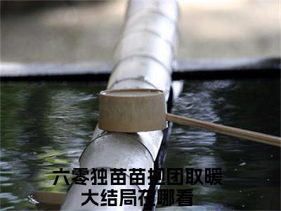 六零独苗苗抱团取暖（于卓尔訾江南）全文免费在线阅读_六零独苗苗抱团取暖全文阅读_笔趣阁（于卓尔訾江南）