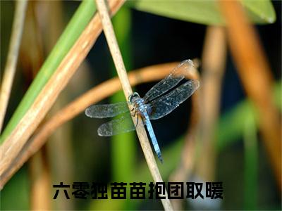 于卓尔訾江南新书六零独苗苗抱团取暖看全文小说-于卓尔訾江南小说资源阅读六零独苗苗抱团取暖