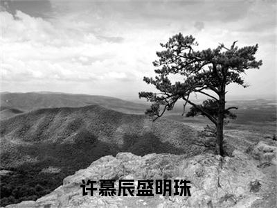许慕辰盛明珠小说《许慕辰盛明珠》全章节阅读-许慕辰盛明珠精彩小说全文赏析