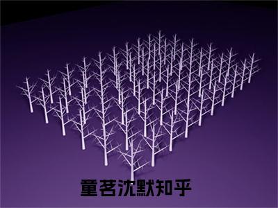 童茗沈默首发小说 童茗沈默在线阅读