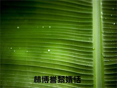 一切不过都是过眼云烟全文免费阅读无弹窗大结局_(一切不过都是过眼云烟)林博誉黎婧恬最新章节列表_笔趣阁