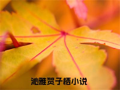 沁雅贺子栖全文免费阅读（沁雅贺子栖小说）全文免费阅读无弹窗大结局_(沁雅贺子栖小说小说免费阅读)最新章节列表_（沁雅贺子栖）