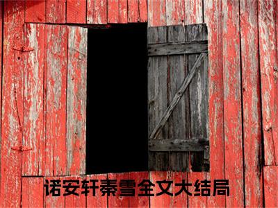 诺安轩秦雪在线阅读（诺安轩秦雪）全文免费阅读无弹窗大结局_诺安轩秦雪精选免费小说