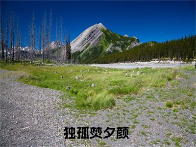 独孤焚夕颜全集章节小说免费阅读完整版（独孤焚夕颜）-独孤焚夕颜小说免费阅读
