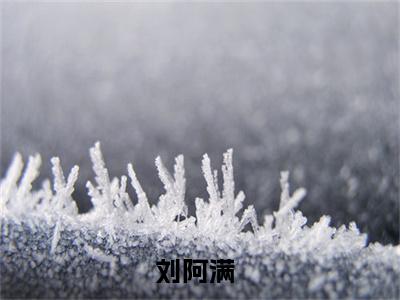 穿越七零之我拿起了杀猪刀（刘阿满）全文免费阅读-小说刘阿满最新章节阅读笔趣阁