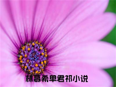 林慕希单君祁（林慕希单君祁最新全章节大结局）全文阅读-林慕希单君祁在线小说免费阅读