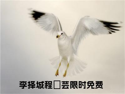 李择城程苪芸（李择城程苪芸)全文免费阅读无弹窗大结局_李择城程苪芸全文免费阅读_笔趣阁（李择城程苪芸）