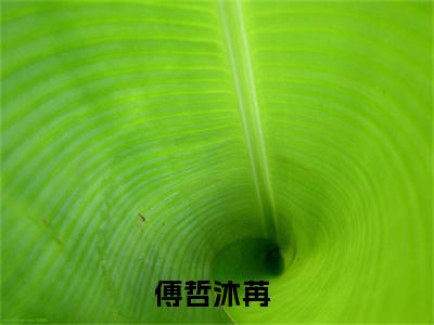 傅哲沐苒无弹窗热文在线阅读-傅哲沐苒小说在哪里可以看
