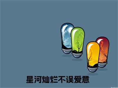 林清辞宋承毅（星河灿烂不误爱意）全文免费阅读无弹窗大结局-林清辞宋承毅免费阅读全文大结局-笔趣阁