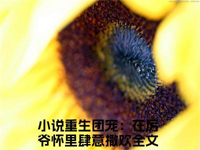 重生团宠：在厉爷怀里肆意撒欢（厉寒景时玖玖）最新章节阅读-热点小说榜单推荐厉寒景时玖玖
