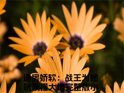 通房娇软：战王为她咣咣撞大墙全网首发最新小说，主角慕霆渊云窈全文在线免费阅读