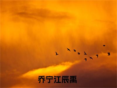 江总，夫人要离婚(乔宁江辰禹)全文免费阅读无弹窗大结局_（乔宁江辰禹）的小说（江总，夫人要离婚）最新章节列表