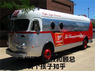 小说热搜预定！我和顾总有个孩子完整版在线阅读 顾珩夏亦初精选小说推荐试读