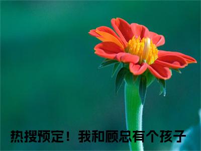 夏亦初顾珩（热搜预定！我和顾总有个孩子）小说全文免费阅读大结局-夏亦初顾珩免费阅读无弹窗大结局