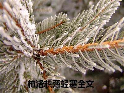 林洛枳薄轻寒（林洛枳薄轻寒）全文免费阅读大结局-林洛枳薄轻寒小说全文免费阅读最新章节列表