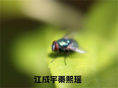 热文（江成宇秦熙瑶）美文阅读_热门小说江成宇秦熙瑶主人公是（江成宇秦熙瑶）最新章节最新章节列表_笔趣阁