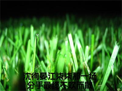 沈徇晏江柒柒的小说全文免费阅读无弹窗,那一场分手最终不欢而散的小说在线免费阅读大结局（那一场分手最终不欢而散）