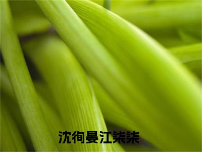 那一场分手最终不欢而散（沈徇晏江柒柒）全文免费阅读无弹窗_那一场分手最终不欢而散最新小说_笔趣阁