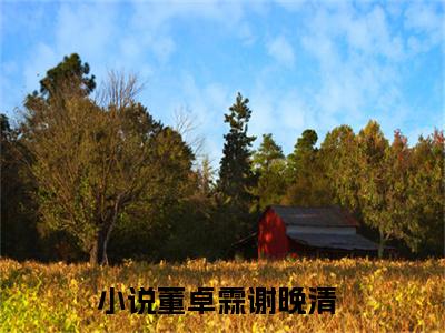 董卓霖谢晚清小说（董卓霖谢晚清）全文免费阅读无弹窗大结局_董卓霖谢晚清小说免费阅读_笔趣阁