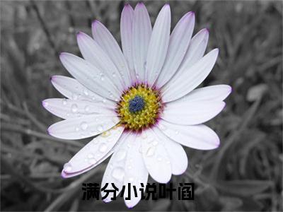 逆运天师（叶阎）全文免费阅读无弹窗大结局_叶阎全文在线阅读