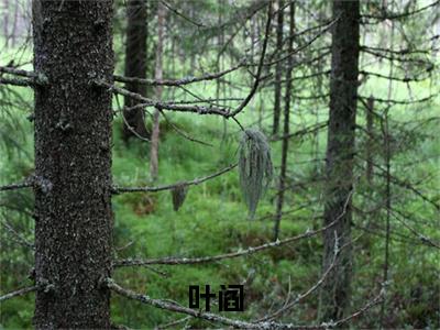 逆运天师（叶阎）经典小说全文免费阅读无弹窗_（叶阎）小说全文免费阅读最新章节_笔趣阁