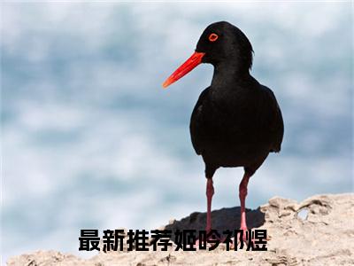 姬吟祁煜小说好看吗 姬吟祁煜热门推荐小说（姬吟祁煜）全章节阅读_笔趣阁