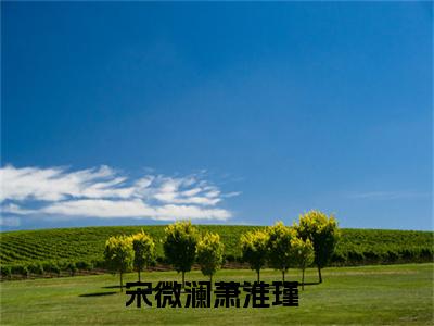 宋微澜萧淮瑾全文免费阅读无弹窗大结局-宋微澜萧淮瑾 全文全章节免费阅读