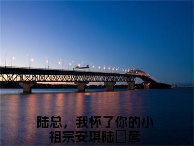 安琪陆珺彦全文免费阅读无弹窗大结局_安琪陆珺彦全文阅读_笔趣阁（陆总，我怀了你的小祖宗）