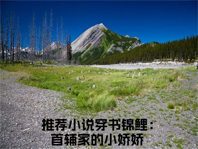 小说林玥陆淮在线阅读-正版小说《穿书锦鲤：首辅家的小娇娇》林玥陆淮全文阅读