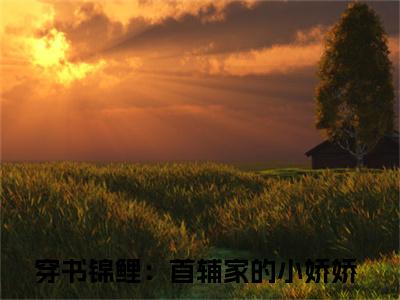 穿书锦鲤：首辅家的小娇娇小说(林玥陆淮)全文免费阅读无弹窗_穿书锦鲤：首辅家的小娇娇小说全文免费阅读)林玥陆淮最新章节列表笔趣阁（林玥陆淮）